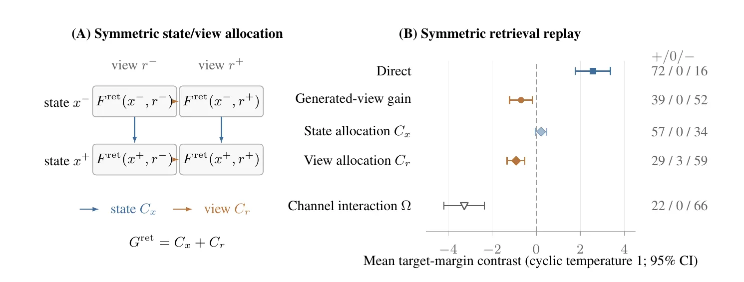 Two-panel paper figure showing a positive state allocation, a negative generated-view allocation, a positive direct gain, and a negative channel interaction in the symmetric retrieval replay.